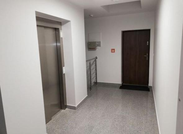 Apartament 80M2 Z 70M2 Tarasem -W Pelni Wyposazony - Wyjatkowe Centrum Miasta Włocławek Eksteriør billede